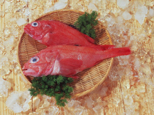 Картинка еда рыба морепродукты суши роллы