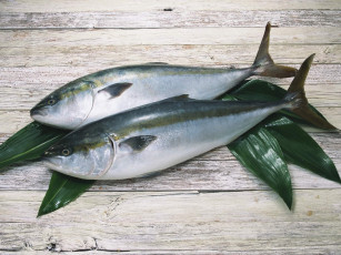 Картинка еда рыба морепродукты суши роллы