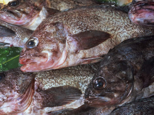 Картинка еда рыба морепродукты суши роллы