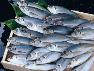 Картинка еда рыба морепродукты суши роллы