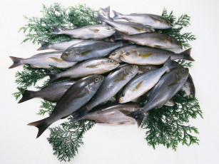 Картинка еда рыба морепродукты суши роллы