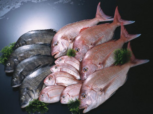 Картинка еда рыба морепродукты суши роллы