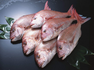 Картинка еда рыба морепродукты суши роллы