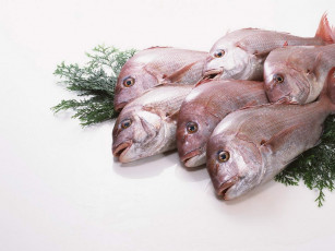 Картинка еда рыба морепродукты суши роллы