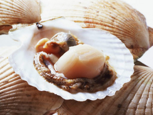 Картинка еда рыба морепродукты суши роллы