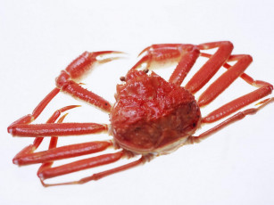 Картинка еда рыба морепродукты суши роллы