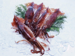 Картинка еда рыба морепродукты суши роллы