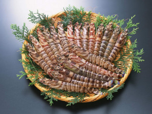 Картинка еда рыба морепродукты суши роллы