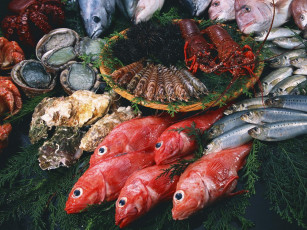 Картинка еда рыба морепродукты суши роллы