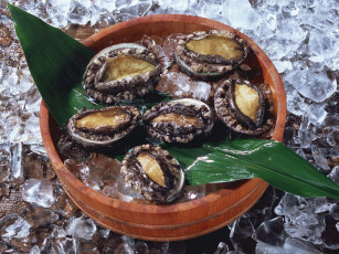 Картинка еда рыба морепродукты суши роллы