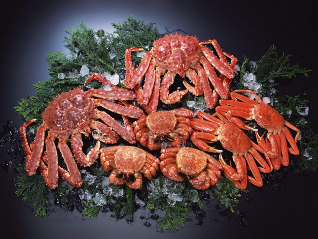 Обои картинки фото еда, рыба, морепродукты, суши, роллы