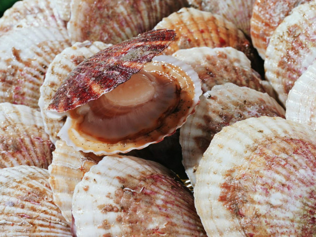 Обои картинки фото еда, рыба, морепродукты, суши, роллы