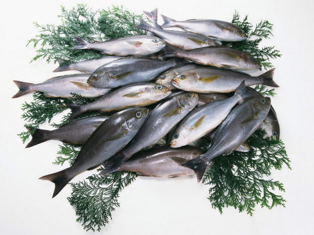 Обои картинки фото еда, рыба, морепродукты, суши, роллы