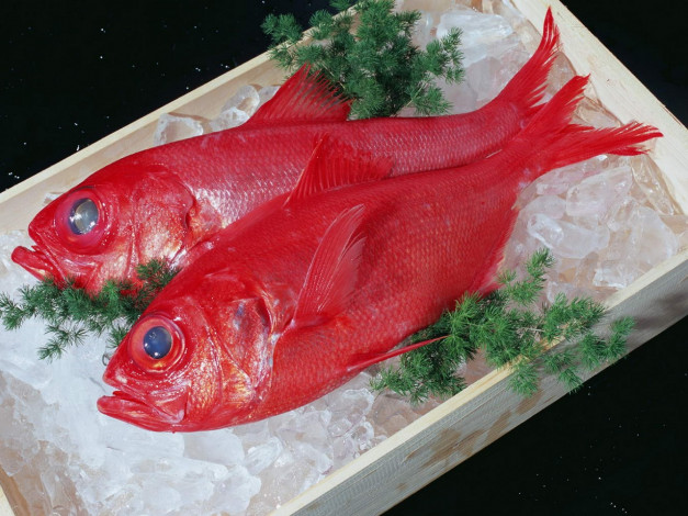 Обои картинки фото еда, рыба, морепродукты, суши, роллы