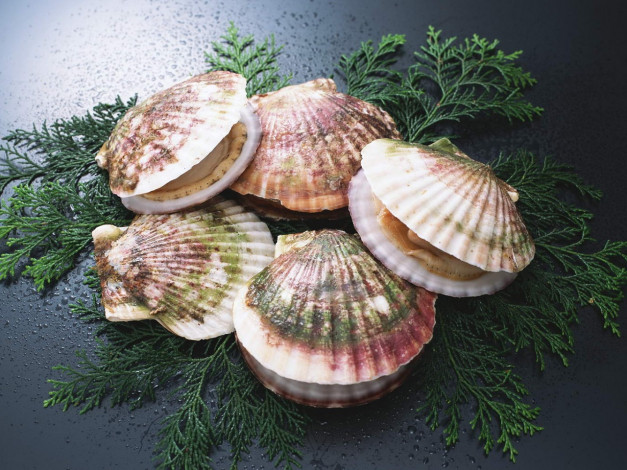 Обои картинки фото еда, рыба, морепродукты, суши, роллы