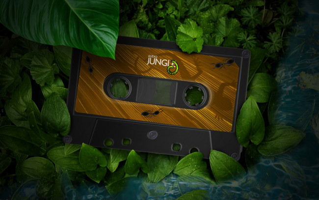 Обои картинки фото векторная, графика