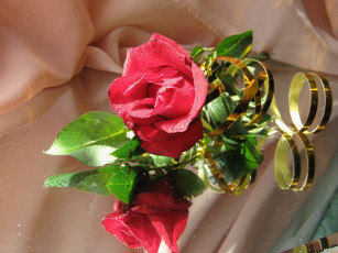 Картинка цветы розы