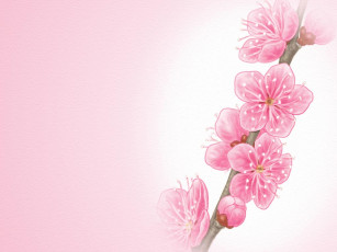 Картинка рисованные цветы