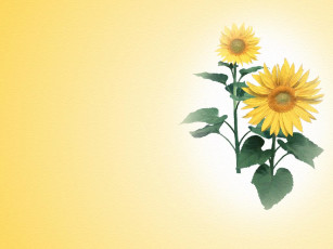 Картинка рисованные цветы