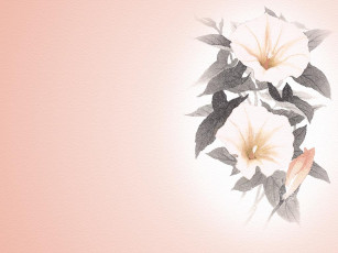 Картинка рисованные цветы