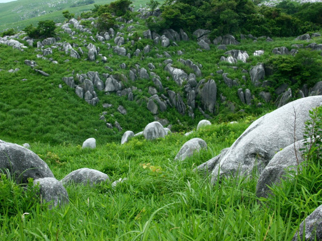 Обои картинки фото 