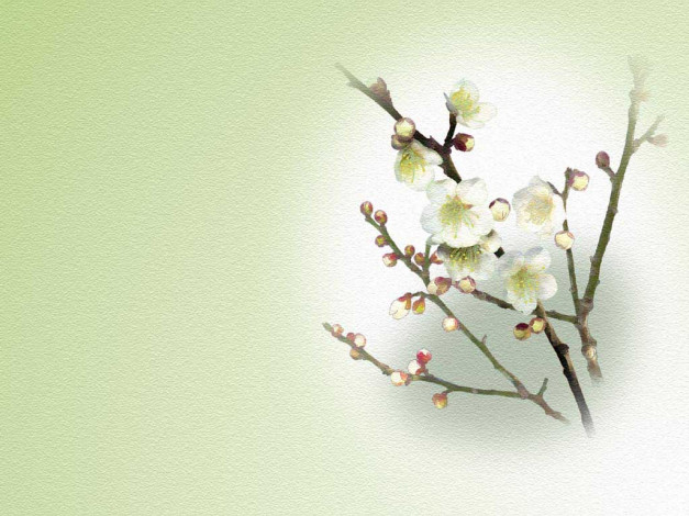 Обои картинки фото рисованные, цветы