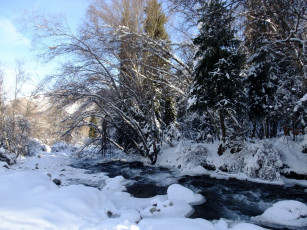 Картинка природа зима лес снег