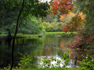 Картинка санкт петербург елагин остров природа реки озера парк река
