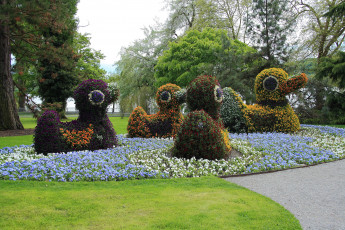 Картинка германия остров mainau природа парк цветники