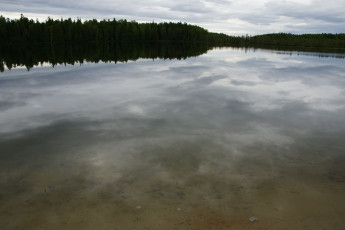 Картинка природа нижневартовска реки озера отражение нижневартовск деревья лес озеро небо