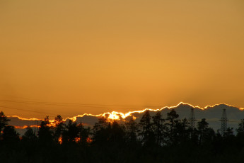 Картинка природа восходы закаты провода деревья закат нижневартовск