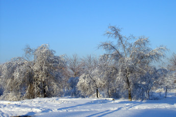 Картинка природа зима снег