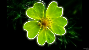 Картинка 3д графика flowers цветы лепестки