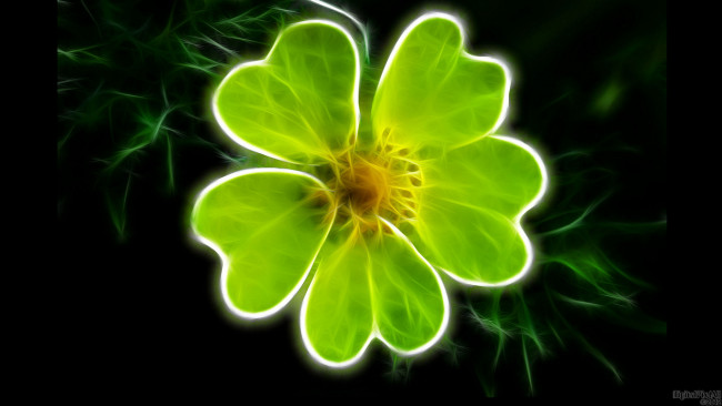 Обои картинки фото 3д, графика, flowers, цветы, лепестки