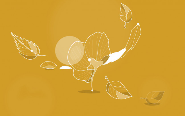 Обои картинки фото векторная, графика, фон, листья