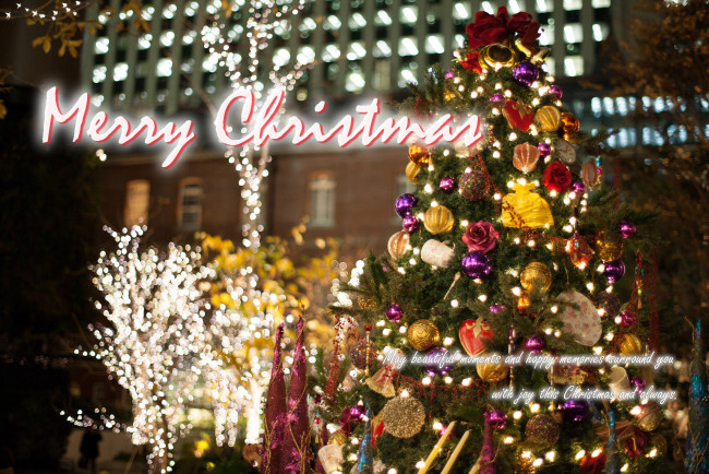 Обои картинки фото праздничные, Ёлки, праздник