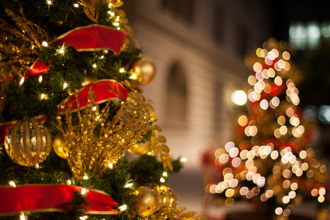 Обои картинки фото праздничные, Ёлки, праздник