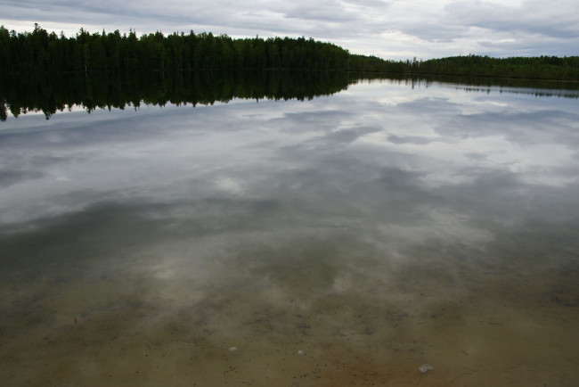 Обои картинки фото природа, нижневартовска, реки, озера, отражение, нижневартовск, деревья, лес, озеро, небо