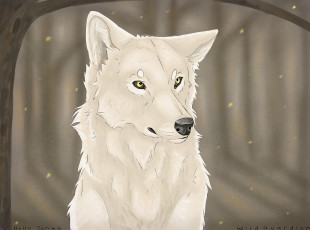 Картинка рисованные животные +собаки собака