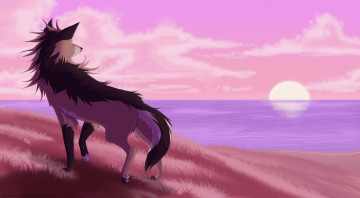 Картинка рисованные животные +сказочные +мифические закат море собака