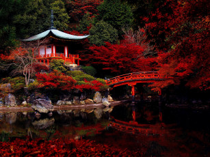 Картинка природа парк здание крыша осень