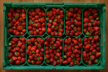 Картинка еда клубника +земляника ягоды