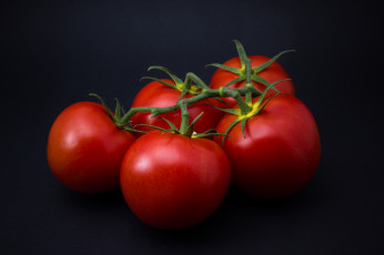 Картинка еда помидоры томаты