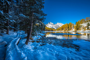 Картинка природа реки озера зима пейзаж горы деревья река