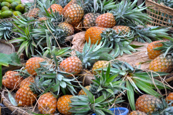 Картинка еда ананас плоды