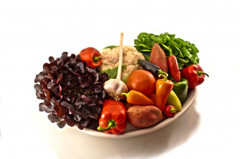 Картинка еда овощи ассорти