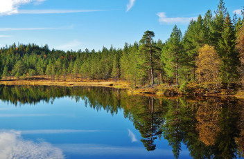 Картинка природа реки озера река лес