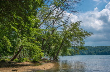 Картинка природа реки озера лес река