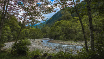 Картинка природа реки озера лес река