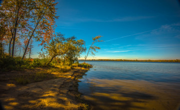 Картинка природа реки озера лес река